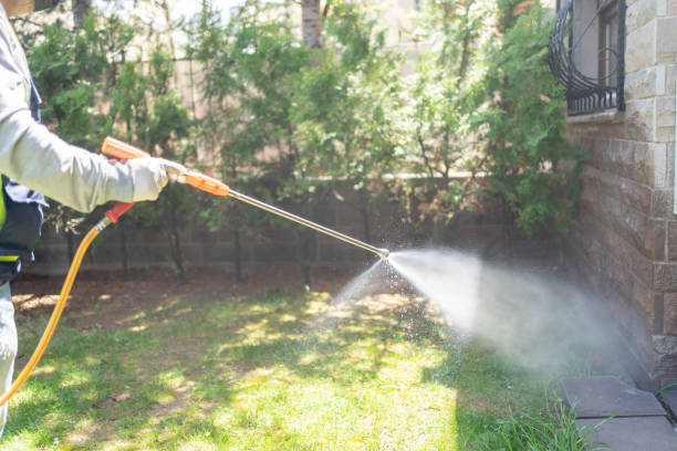 Best Bed Bug Extermination  in Warren Af, WY